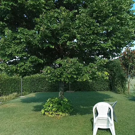 Casa Sulla Via Di Francesco גוביו
